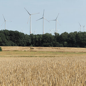 Mitte Niedersachsen.jpg