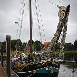 DSC_4532.jpg