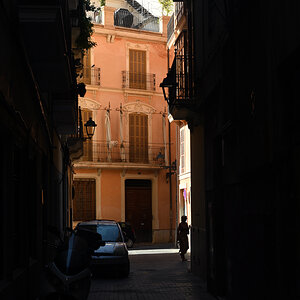 palma6.jpg