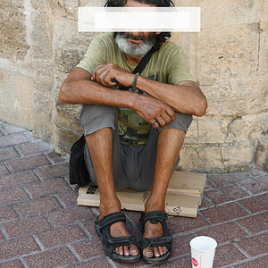 palma10.jpg