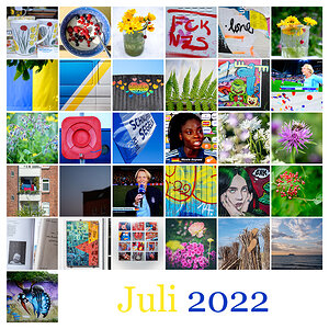 365 | 2022 Mosaik Juli