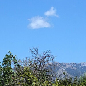 Wolkenhimmelff.jpg