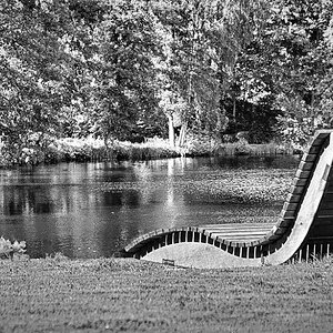 Mein Lieblingsplatz im Stadtpark