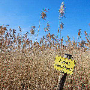 20110312-DSC_0534.jpg