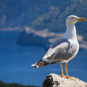20110509-DSC_0851.jpg