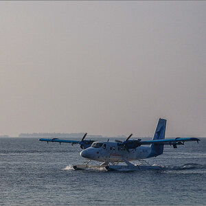 IMG_20220302_071752.jpg