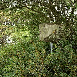 DSC_0385.JPG