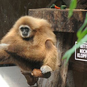 test botanika_001_08.jpg