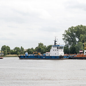 20220801-D50_6373.jpg