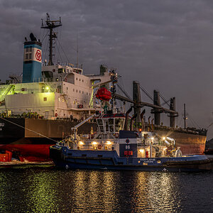 D50_2361-.JPG