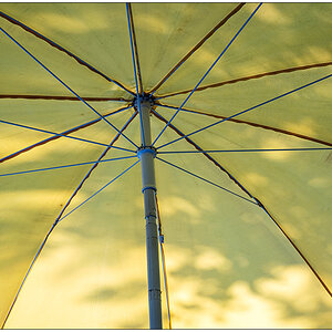 353 Unterm Sonnenschirm