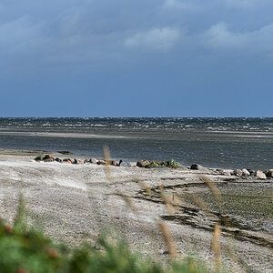 DSC_1776.jpg