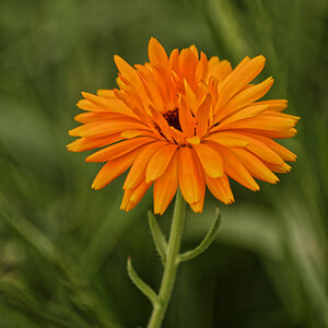 NIKON_2022_00267NF.jpg