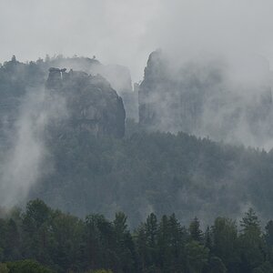 DSC_3335_00001_01n.jpg