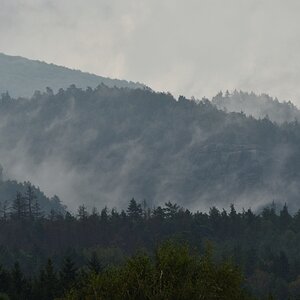 DSC_3349_00001n.jpg