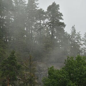 DSC_3334_00001n.jpg
