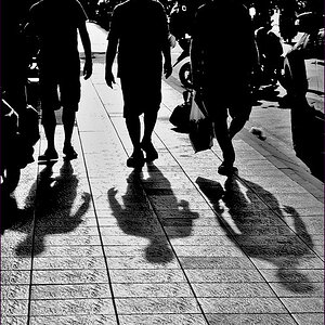 comp_2shadow1b.jpg