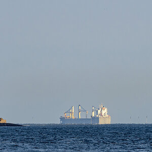 D50_2407-.JPG