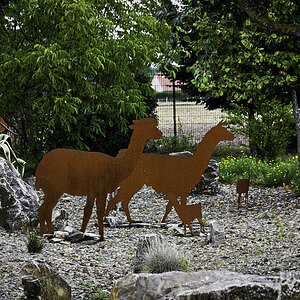 DSC_5077.jpg