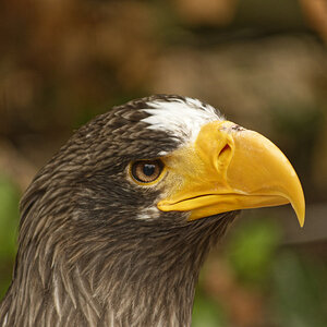 _DSC9998NF.jpg