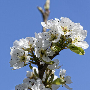 _DSC9867NF.jpg