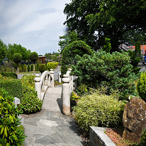 DSC_5260_layer_copy.jpg