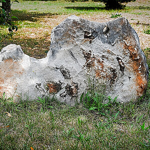 DSC_5124.jpg