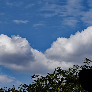 _9051294D-Pxl.jpg