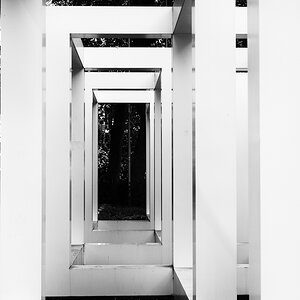 Frankfurt-Fotosafari-2102-Bearbeitet.jpg