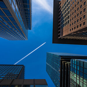 Frankfurt-Fotosafari-2181-Bearbeitet.jpg
