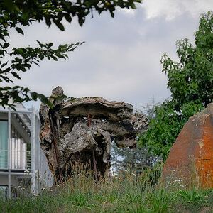 DSC_5016.jpg