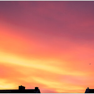 368 Sonnenaufgang I