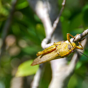 20130611-DSC_0265.jpg