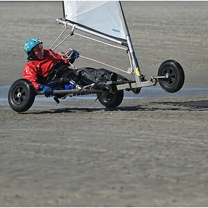 comp_DSC_2989.jpg