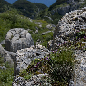 Felsige Natur