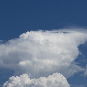 Cumulus wird vom Föhn zerzaust  04. Juli 2009 2