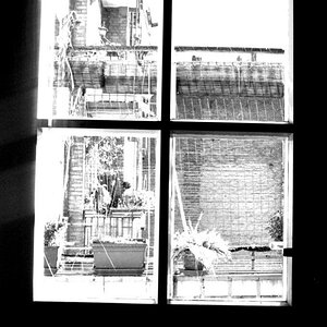 Fenster zum Hof