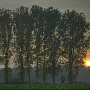 Ph HuelserBerg 9