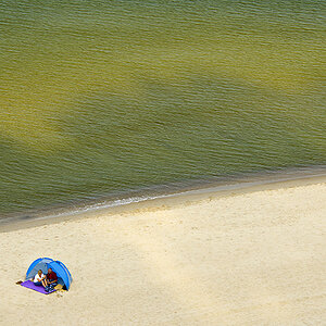 Die Muschel und das Meer