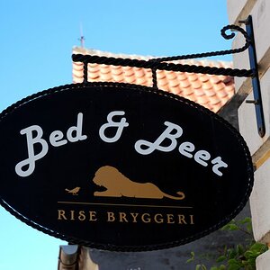 DSC 0186
