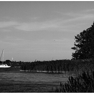 schlei