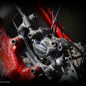 Radsport