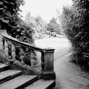 Garinish Island 
stairs bw