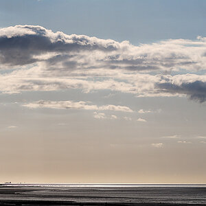 wattenmeer5