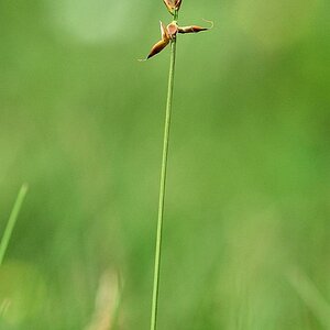 DSC 3690a