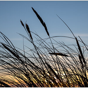 387 Sylt – Sonnenuntergang Kliff Kampen VI