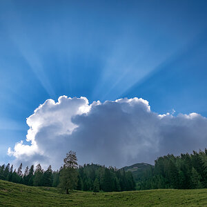 20190704-DSC_6307.jpg