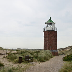 DSC_0403.JPG