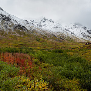 Hatcher Pass.jpg
