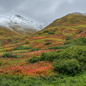 Z72_2431Hatcher Pass-NEF.jpg